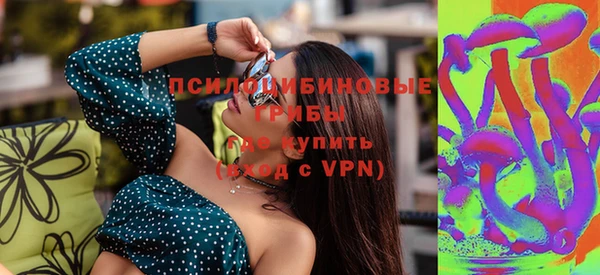 ПСИЛОЦИБИНОВЫЕ ГРИБЫ Покров